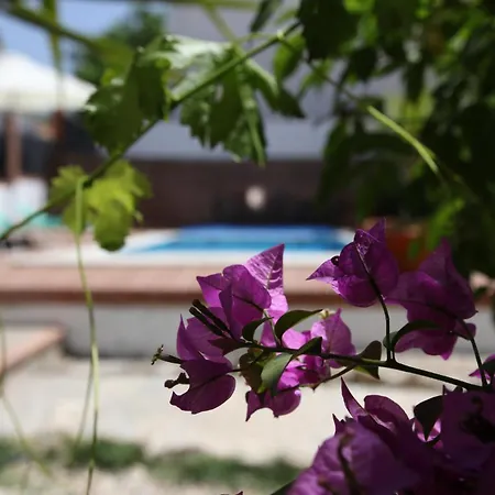 10 Bed Villa With Private Garden And Pool