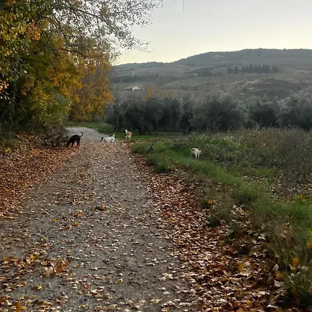 Βίλα Lovely 10-bed With Private Pool & Garden